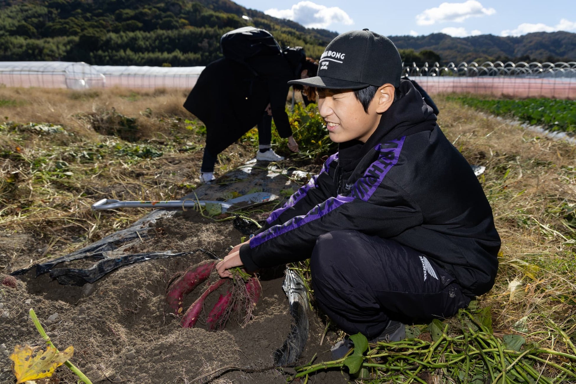 ▲栄養満点の土で育った野菜の収穫体験