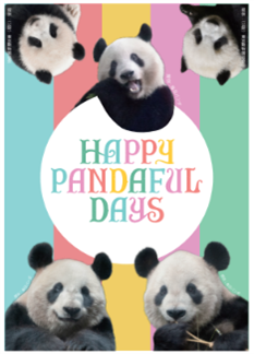 シャンシャン「シタマチ.こどもパーク クリアファイル」松坂屋上野店【未開封新品】 シャンシャン「シタマチ.こどもパーク クリアファイル」松坂屋上野店