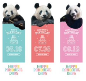 シャンシャン「シタマチ.こどもパーク クリアファイル」松坂屋上野店