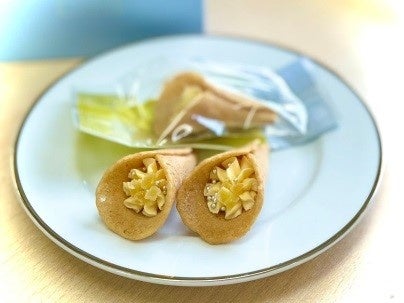 初登場　先行販売