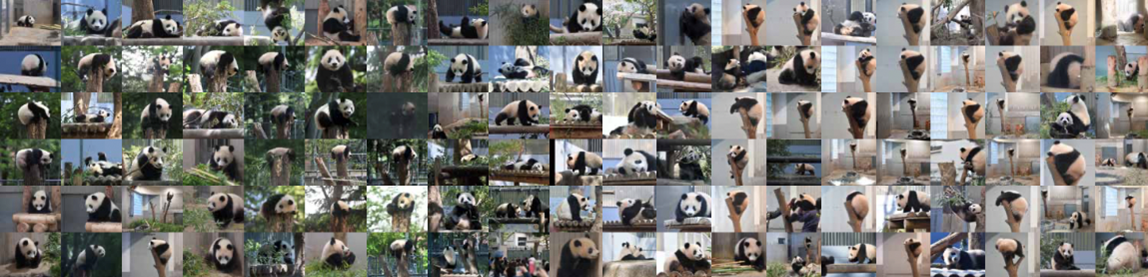 ※画像はイメージです