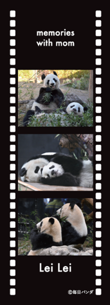 ママとの思い出しおり レイレイｖｅｒ.