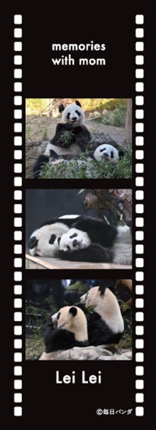 ママとの思い出しおり レイレイver.