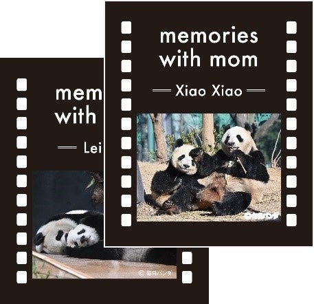 ※画像はイメージです。