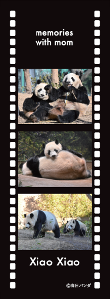 ママとの思い出しおり シャオシャオｖｅｒ.