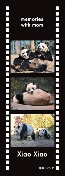 ママとの思い出しおり シャオシャオver.