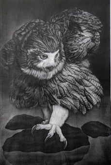 生田　宏司　銅版画展