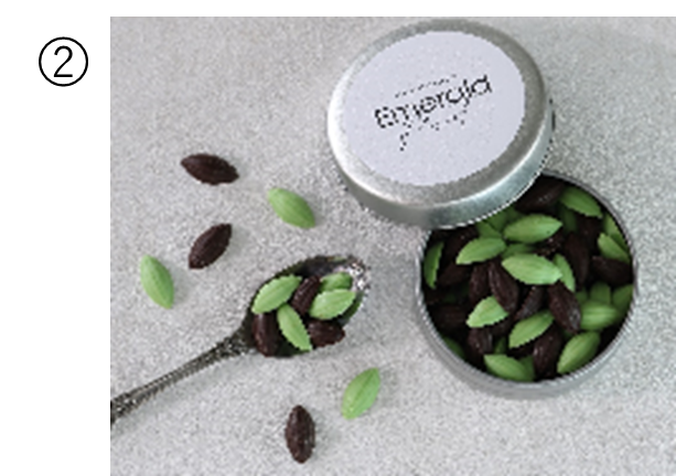 季節限定フレーバー！チョコミントが登場！