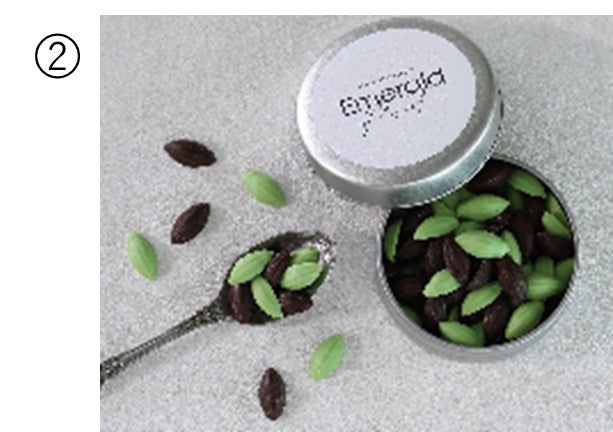 季節限定フレーバー!チョコミントが登場!