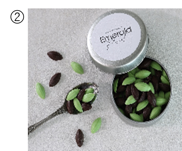 季節限定フレーバー！チョコミントが登場！