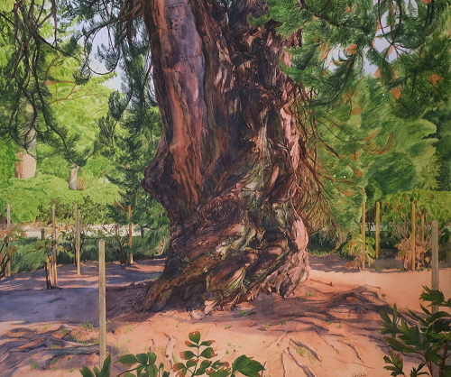 ⓷ＣＡＩ ＱＩＮ「夏の風」水彩、アクリルガッシュ、アルシュ紙、２０号Ｆ