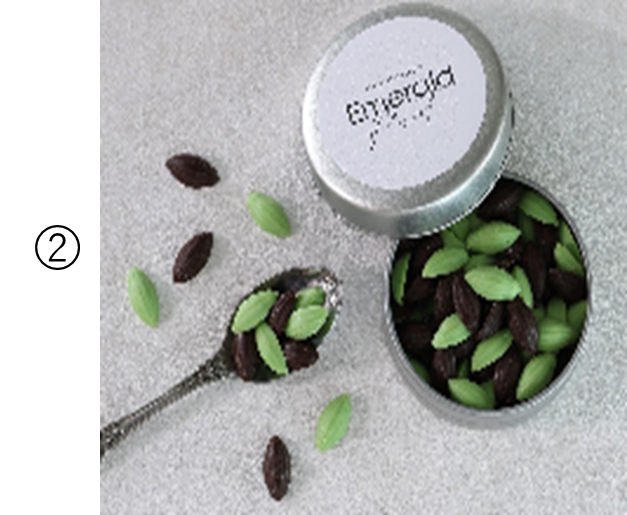 季節限定フレーバー！チョコミントが登場！