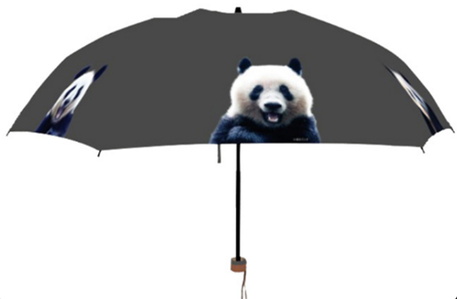 ※画像はイメージです。