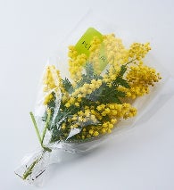 ミモザの日に大丸東京店で開催!『メンタル強め美女 白川さん』×痛快コミックコラボイベント ミモザの日に大丸東京店で開催!『メンタル強め美女 白川さん』×痛快コミックコラボイベント