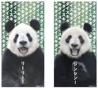 シャンシャン リーリー シンシン フォト風カード 松坂屋 パンダ 上野動物園 上野動物園の「リーリー」「シンシン」に13年分の“ダイスキ”を