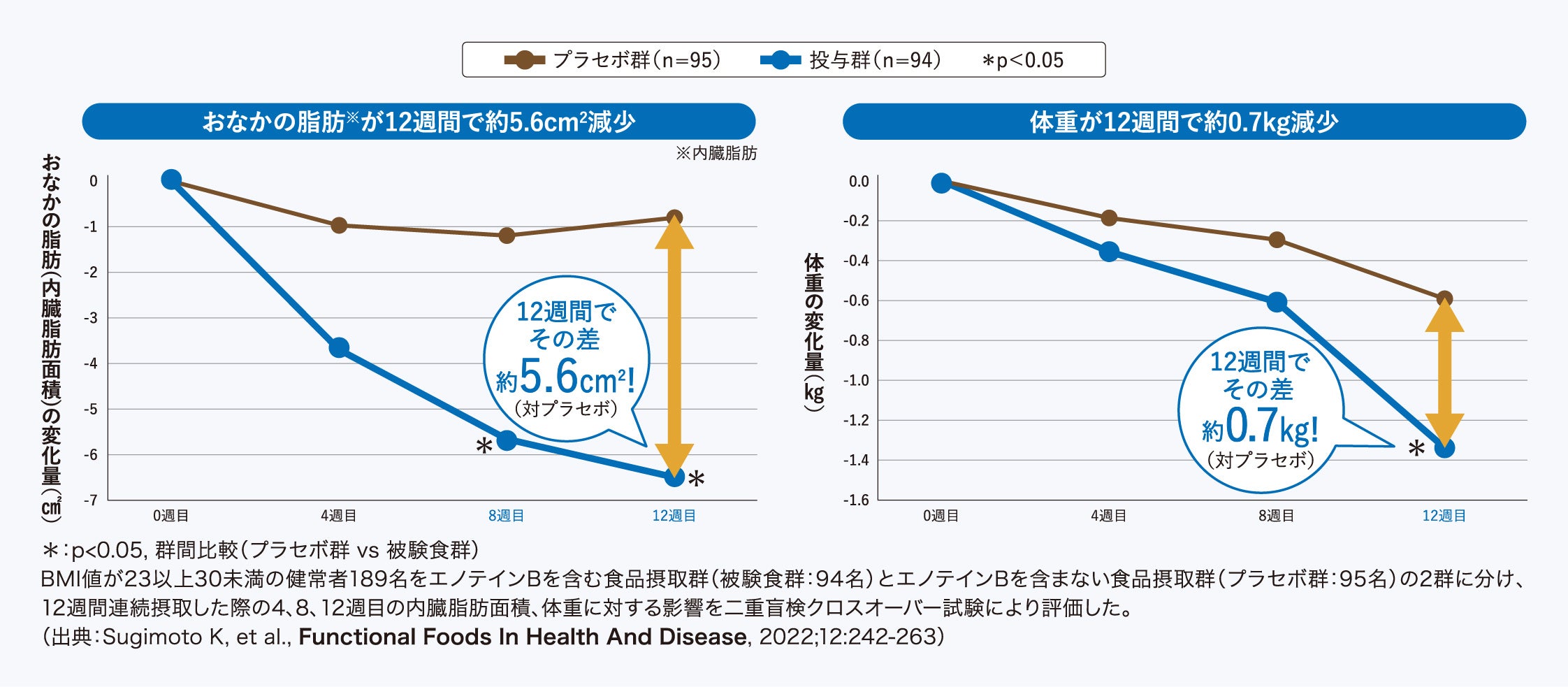 果糖の吸収抑制に着目。世界初※1エノテインBがおなかの脂肪と