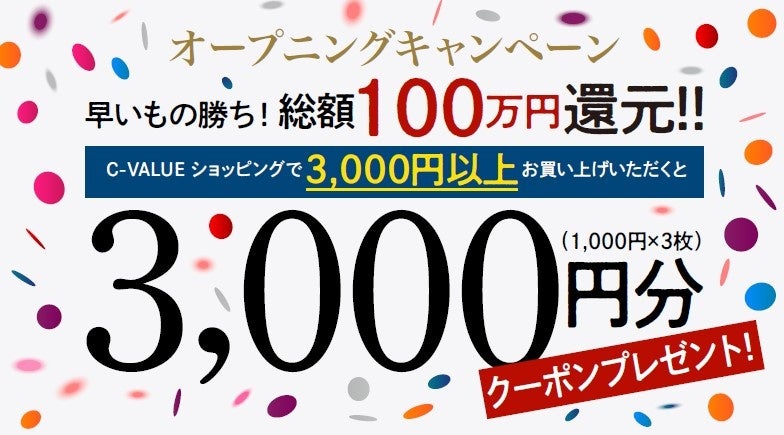 11-1　いちいちのいち　キャンペーン価格 11-1 いちいちのいち キャンペーン価格 ZZR1100/ZX-11/カワサキ