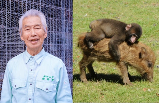 ロデオ猿・みわとウリ坊の育ての親、京都府福知山市の動物園を引退する名物園長へのメッセージを募集 ロデオ猿・みわとウリ坊の育ての親、京都府福知山市の動物園を引退する名物園長へのメッセージを募集