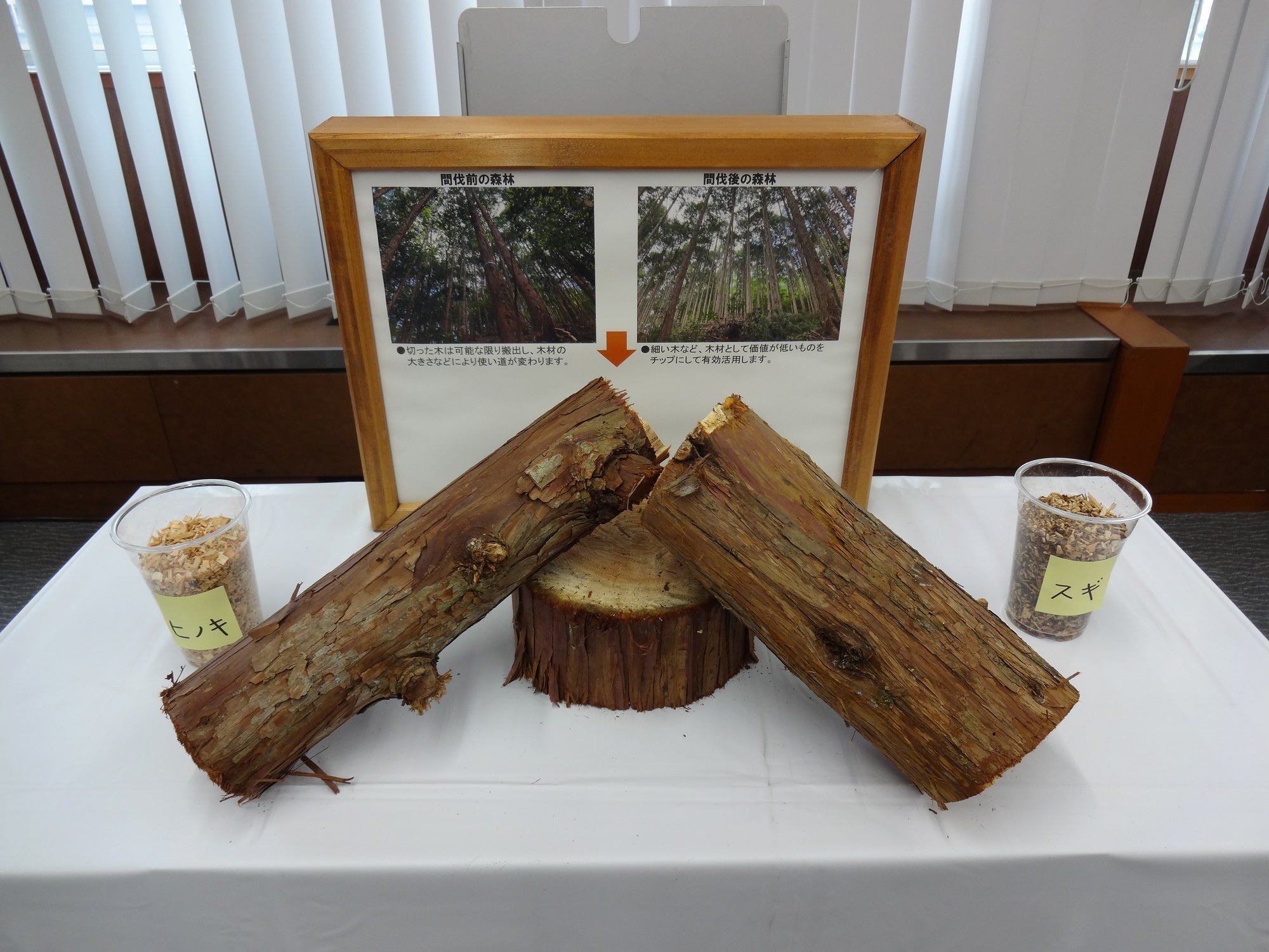 福知山の間伐材、スギとヒノキ。 給食食器の原材料にもなります。
