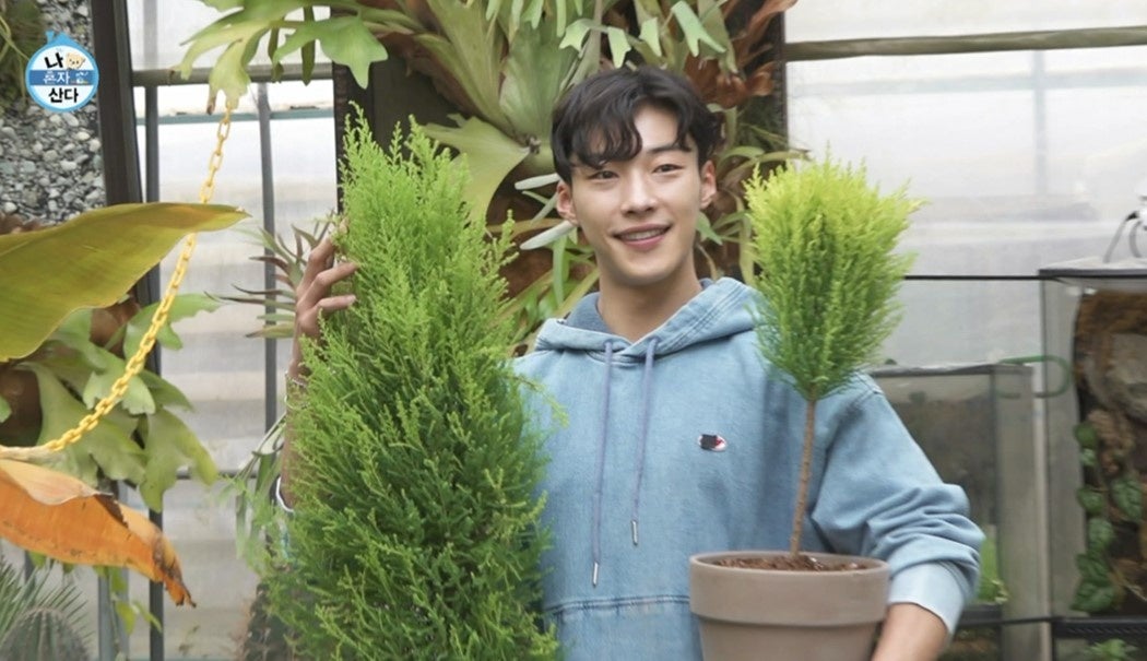 『シングル男のハッピーライフ＜ウ・ドファン出演回＞』©MBC