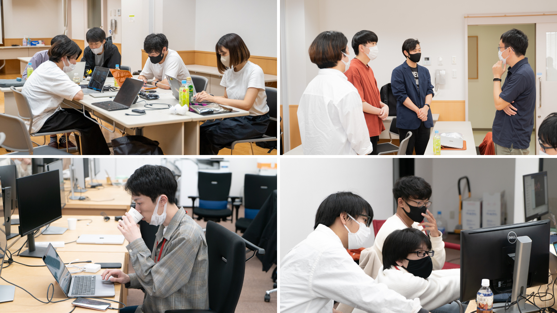 これまで開催したインターンシップのようす