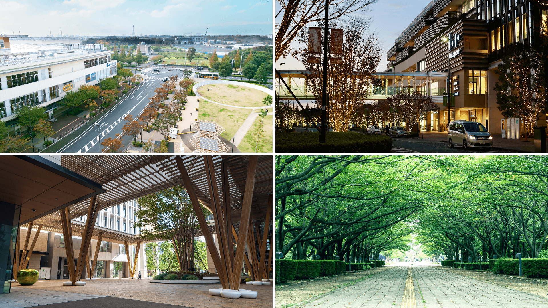 写真：柏の葉キャンパス周辺のようす