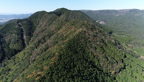 コカ･コーラ ボトラーズジャパン 水源の森えびの（東側上空より）
