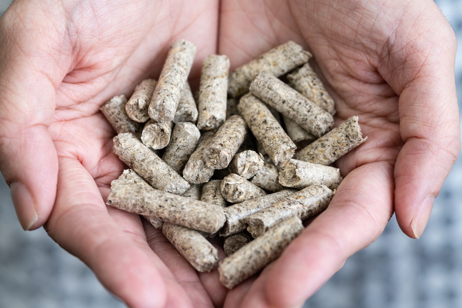 アブラヤシ廃材から作られたチップ（中間材）