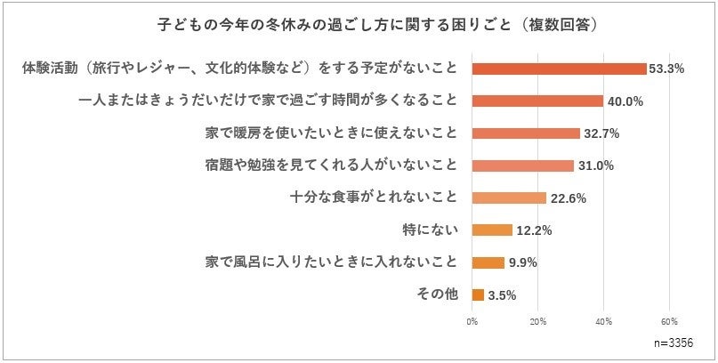 子どもの今年の冬休みの過ごし方に関する困りごと（複数回答）