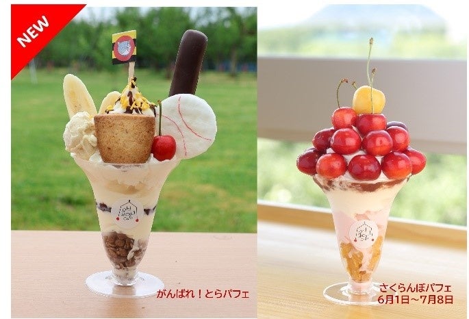 9年で売上16倍 さくらんぼ農園が仕掛けるパフェが話題のカフェを6/1