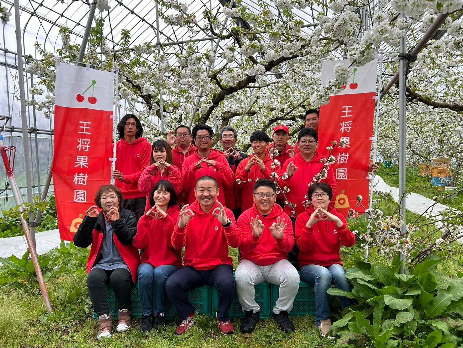 スタッフ写真 サクランボの花咲く果樹園で