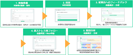 Fig.2　実施準備から集団分析までをオンラインで提供するRasika