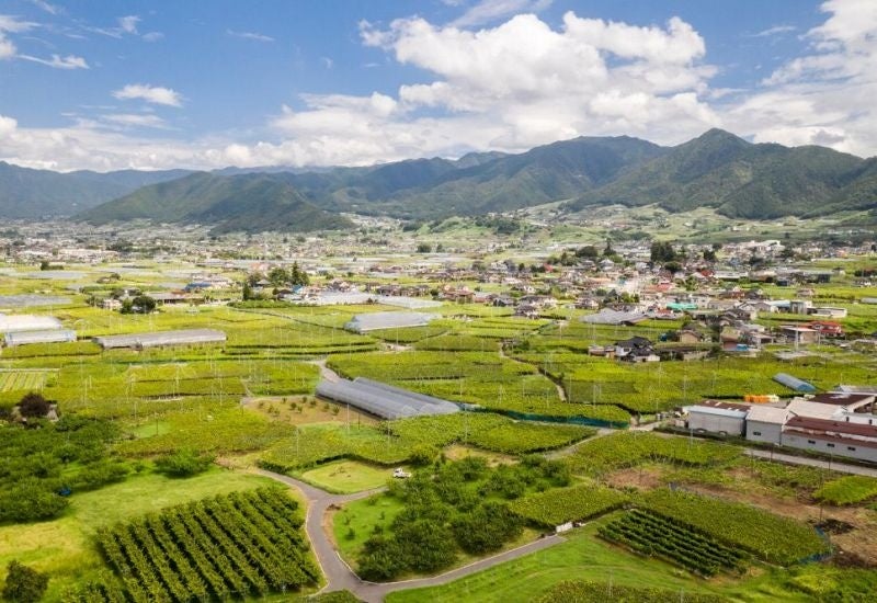 山梨・勝沼コース(イメージ)