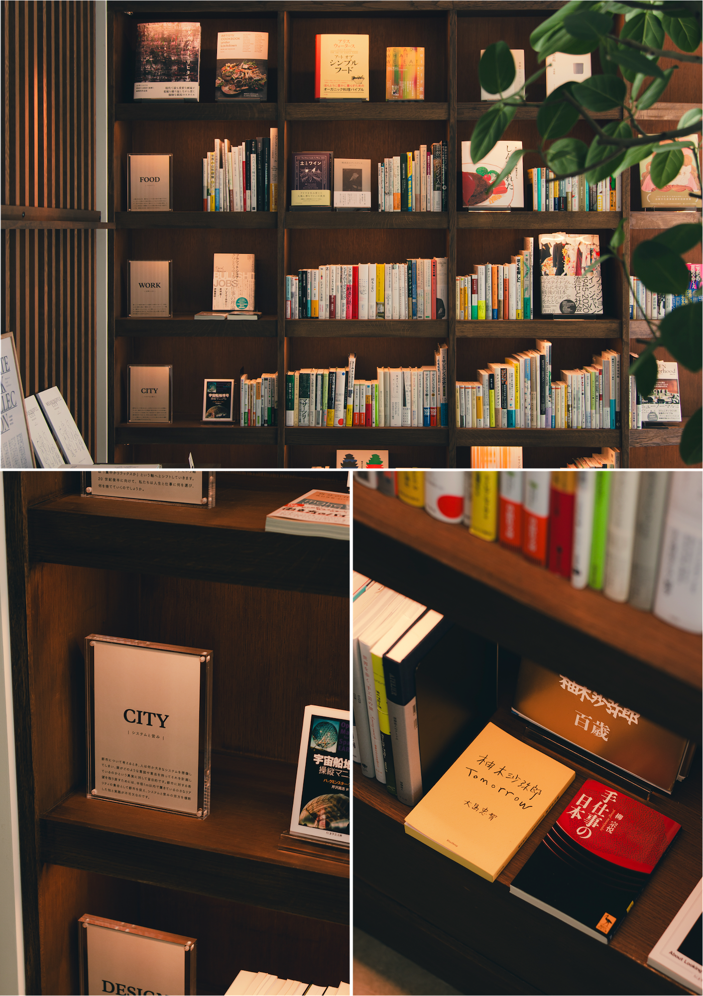 本屋さん 新潟市西区】寄付型書店「めぐる本屋」が内野町に移転オープンしました