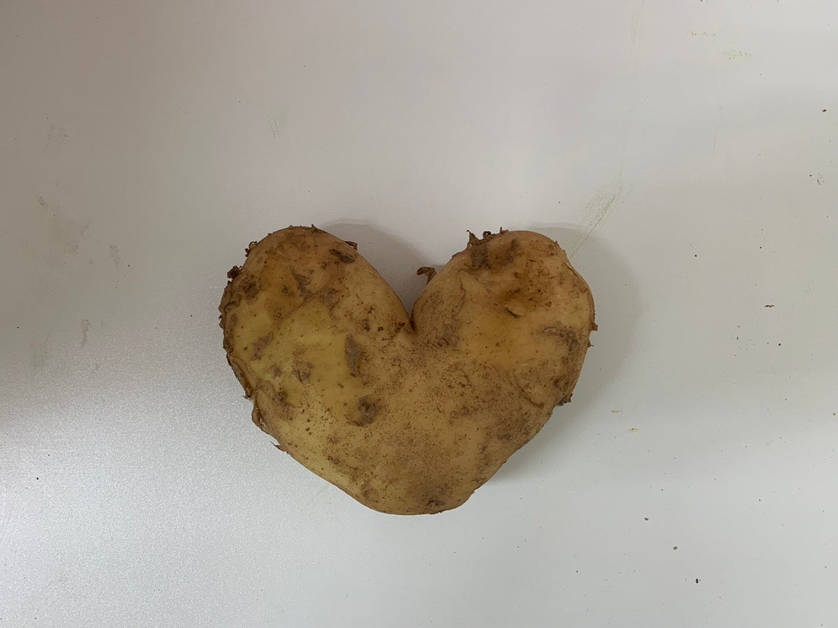 ハート型のじゃがいも