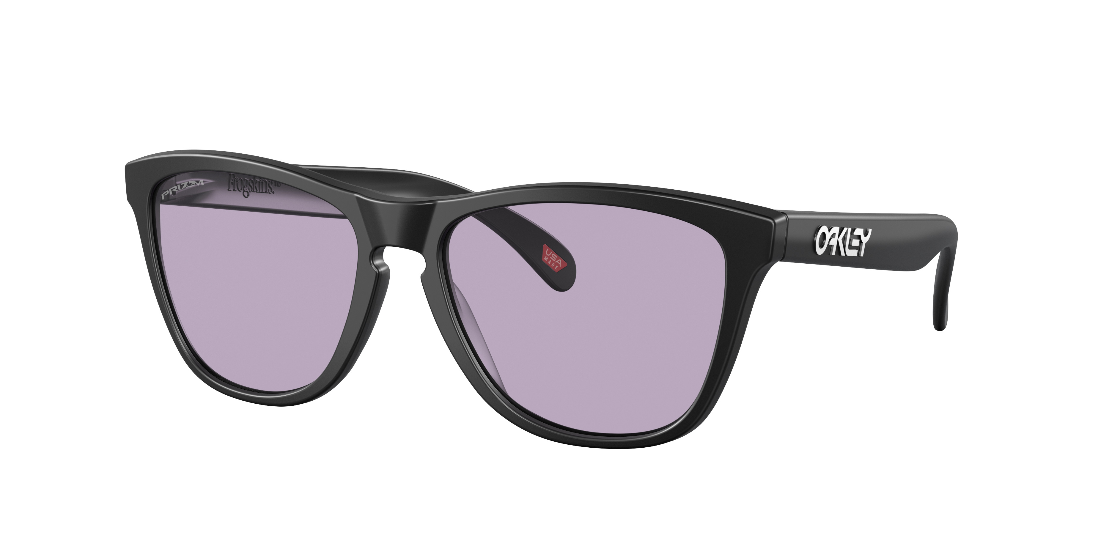 Oakley Frogskins Prizm Slate