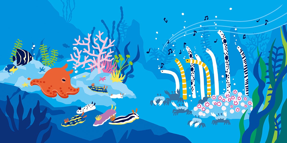 明るい海の浅瀬の世界。