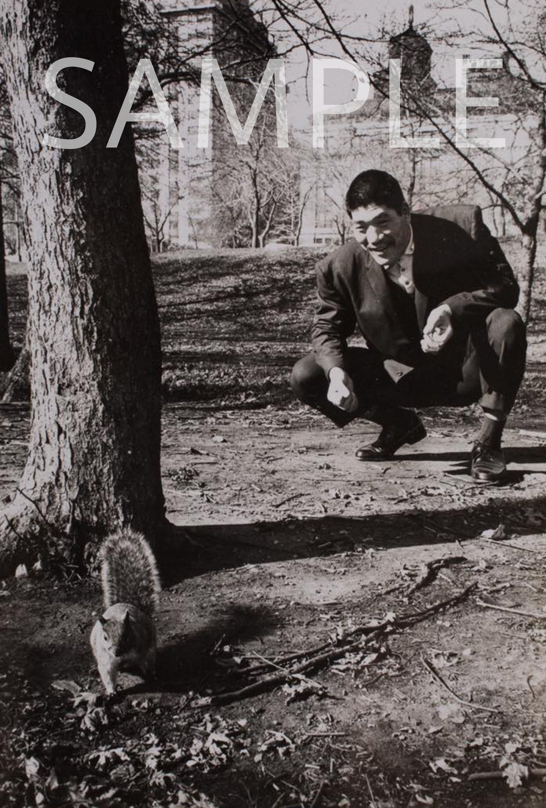 ※ポストカードの絵柄は予定です