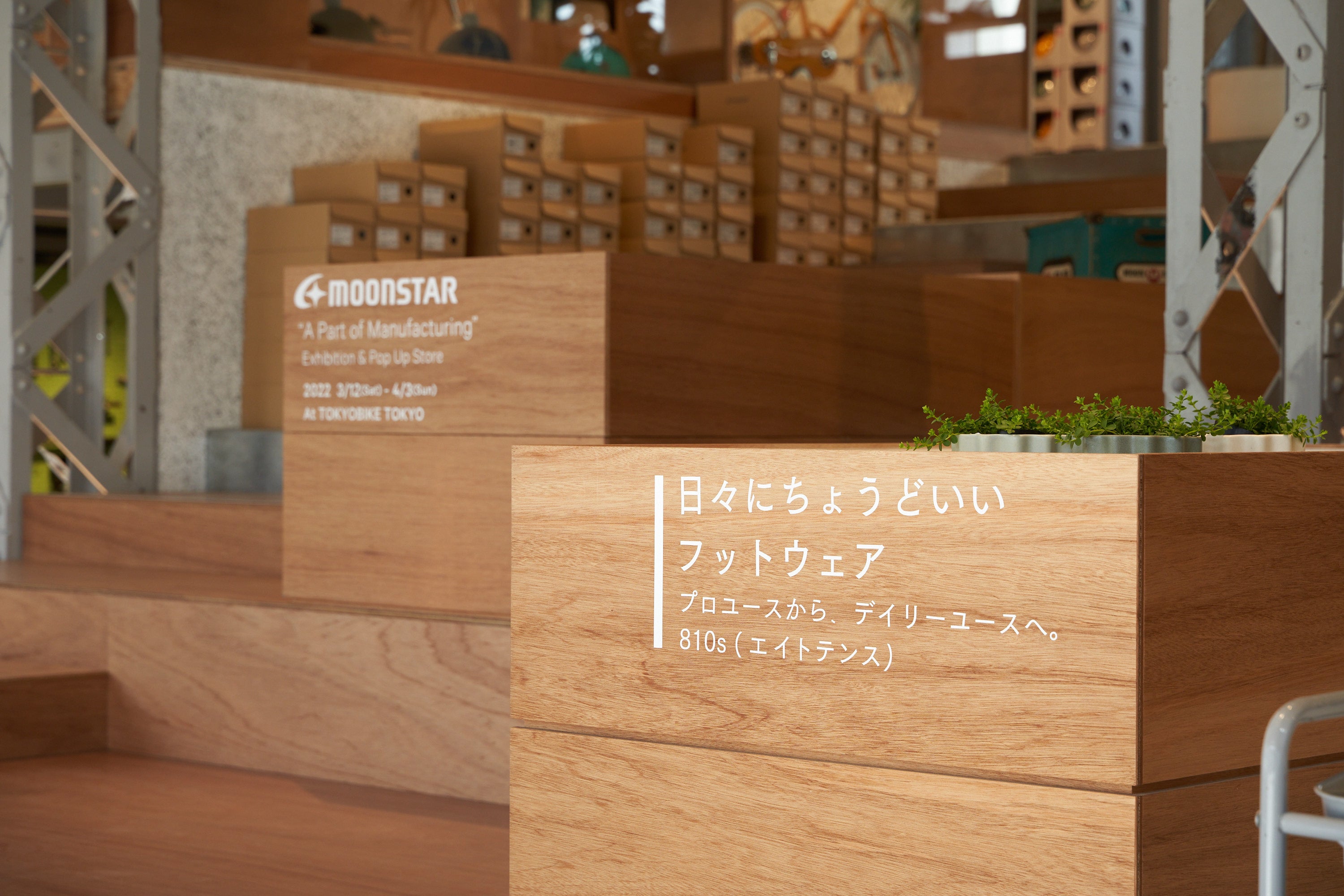 エキシビション4