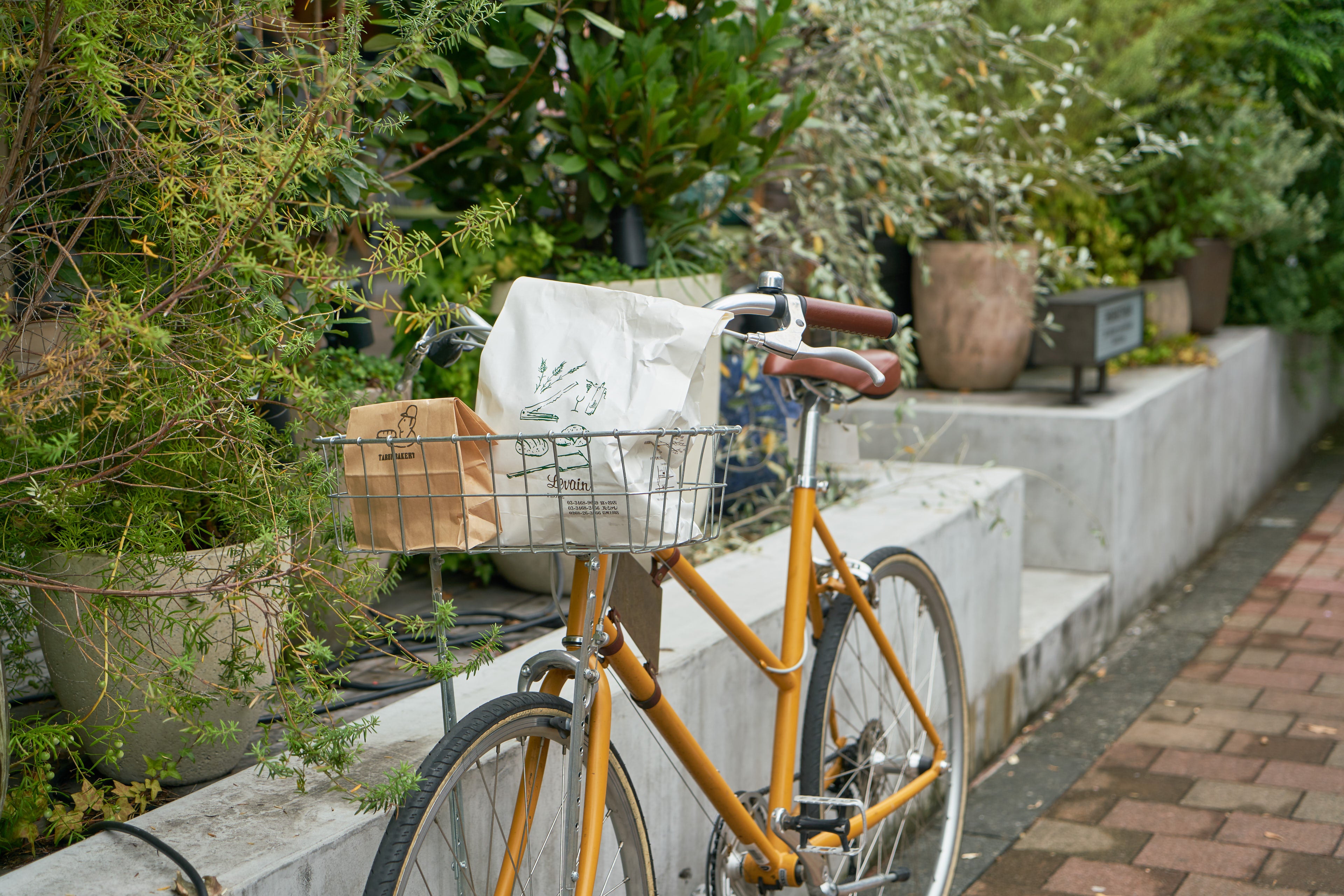 パンライド（イメージ）