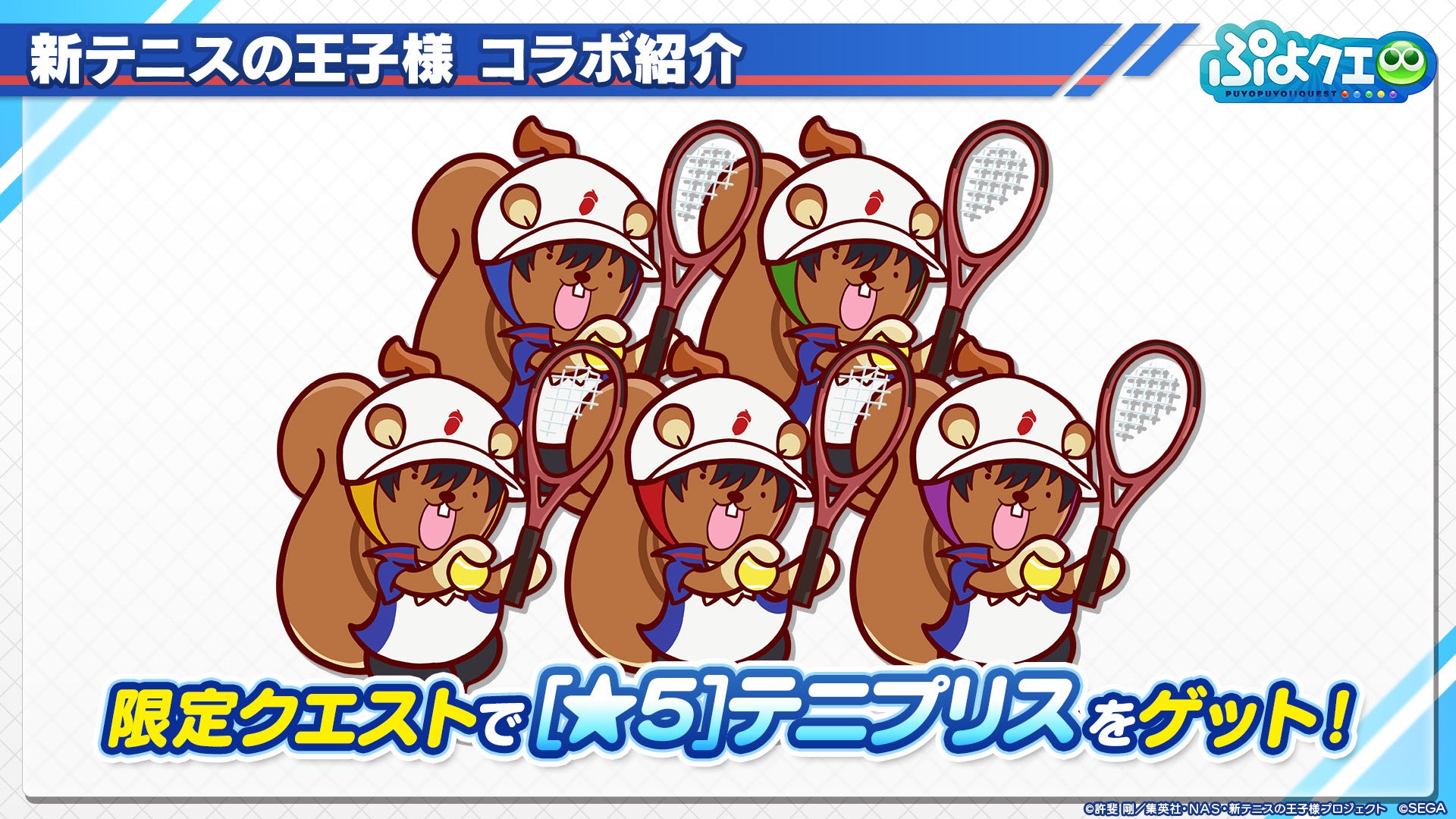 新テニスの王子様』×『ぷよぷよ!!クエスト』コラボ 8月9日（火）より