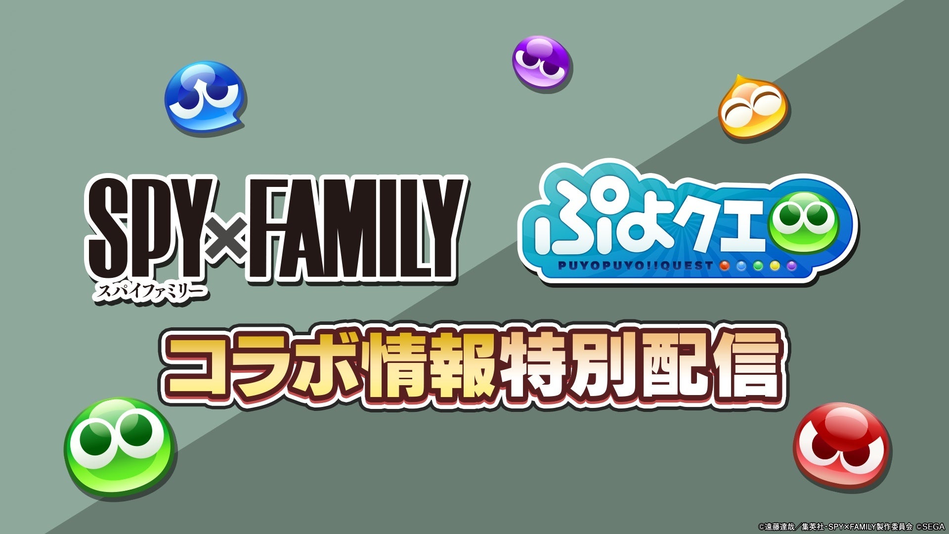 『ぷよクエ』×『SPY×FAMILY』コラボ決定!8/24(土)20時、情報解禁! 『ぷよクエ』×『SPY×FAMILY』コラボ決定!8/24(土)20時、情報解禁!