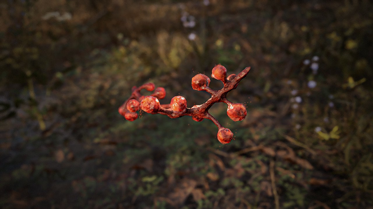 サバイバルホラーFPS『S.T.A.L.K.E.R. 2: Heart of Chornobyl』不思議