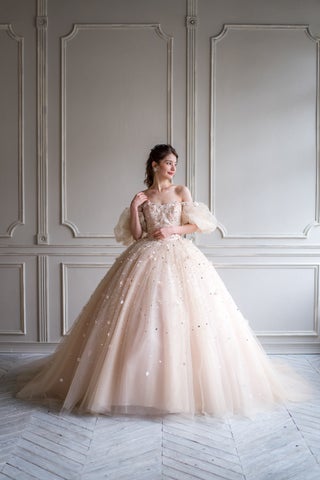 THE HANY 試着会:豊富なドレス&ティアラコーディネート!デザイナー来店も! THE HANY 試着会:豊富なドレス&ティアラコーディネート!デザイナー来店も!