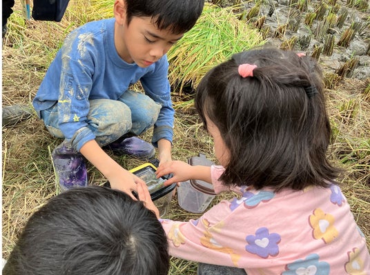 プレナス米文化継承活動 親子で学ぶ「田んぼの生きもの調査」開催 ー田んぼの生きもの観察から「食」「農」「生物多様性」を学ぶー プレナス米文化継承活動 親子で学ぶ「田んぼの生きもの調査」開催 ー田んぼの生きもの観察から「食」「農」「生物多様性」を学ぶー