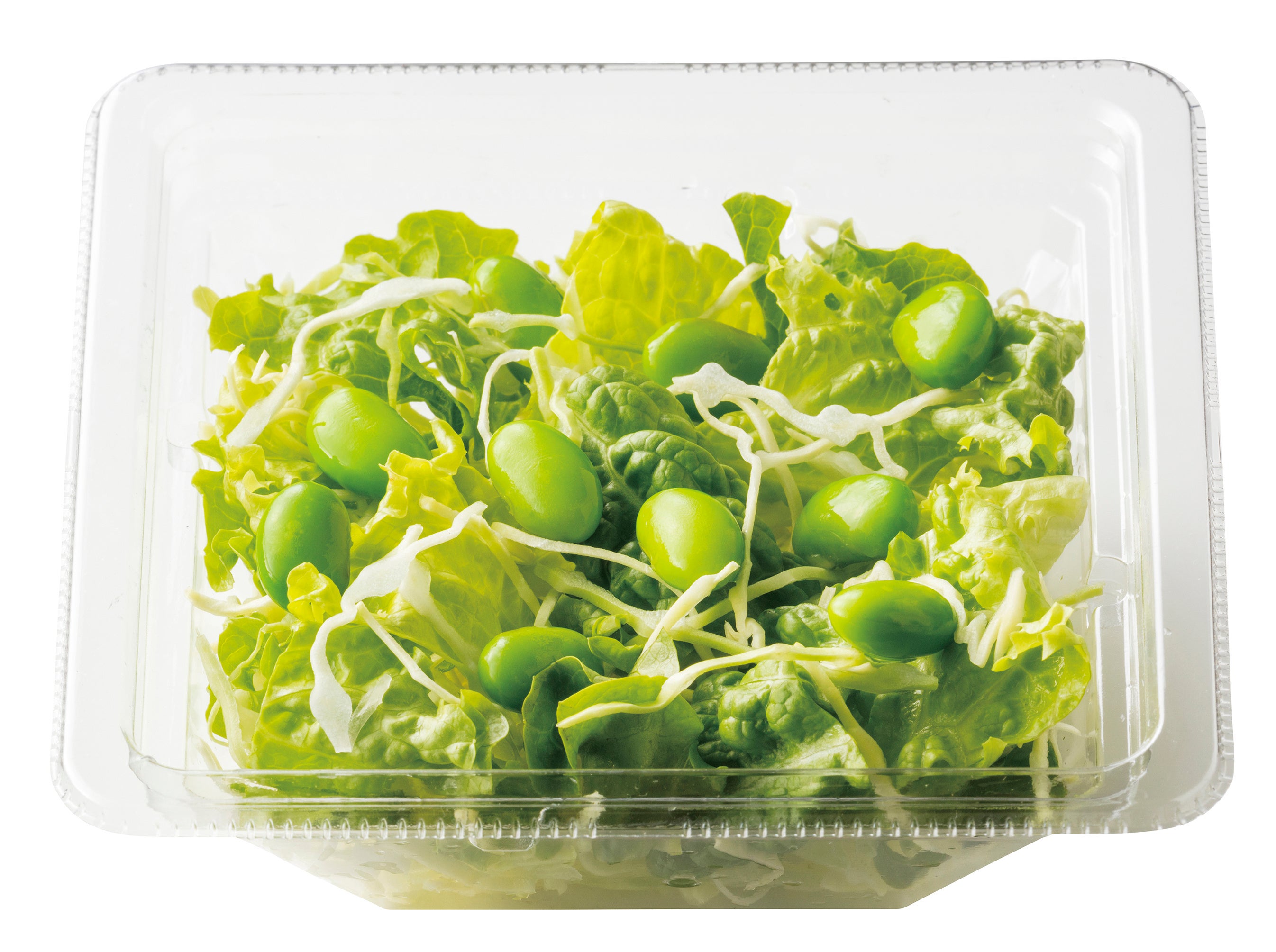 プラスサラダ（100円サラダ）　100円