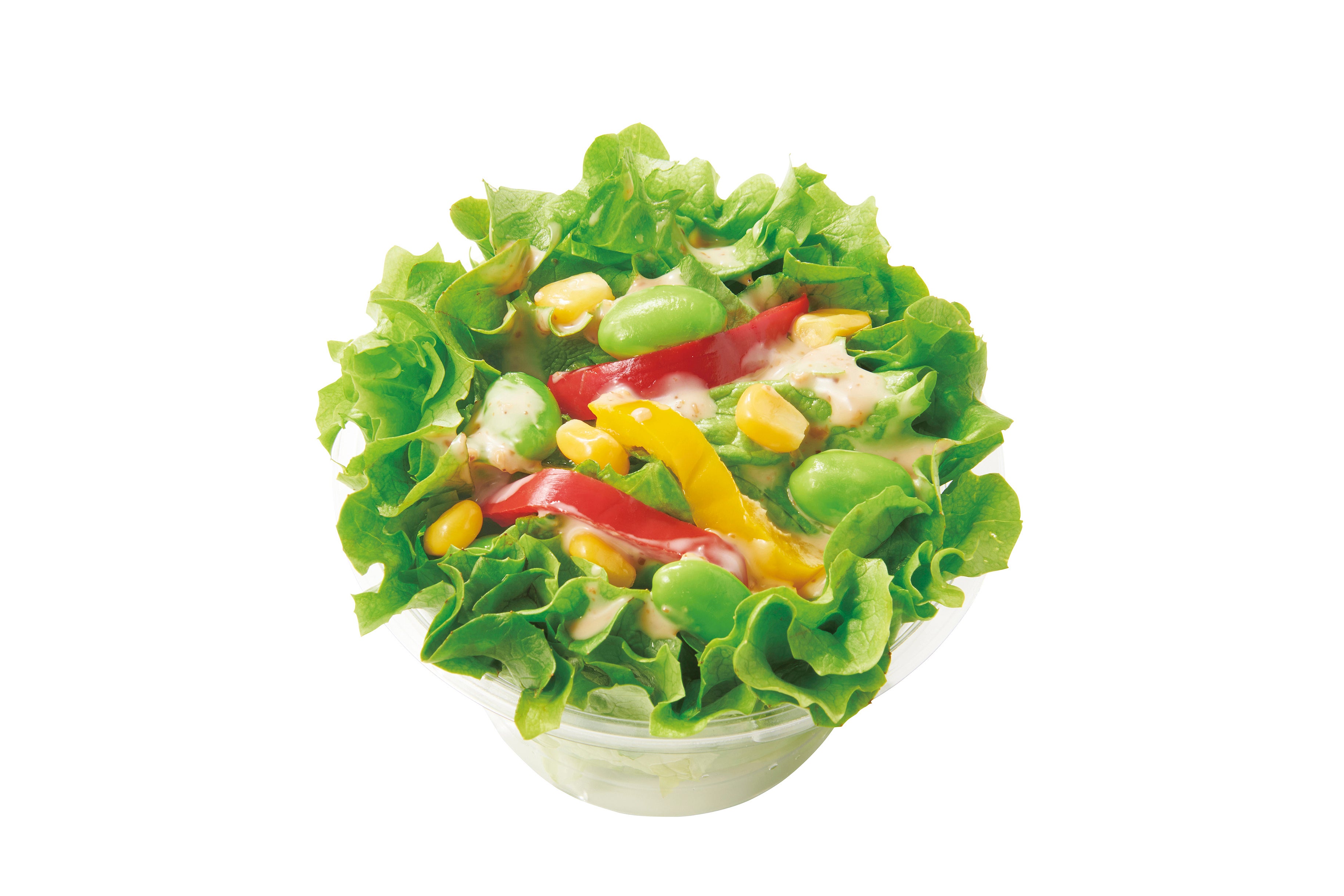 グリーンサラダ　100円