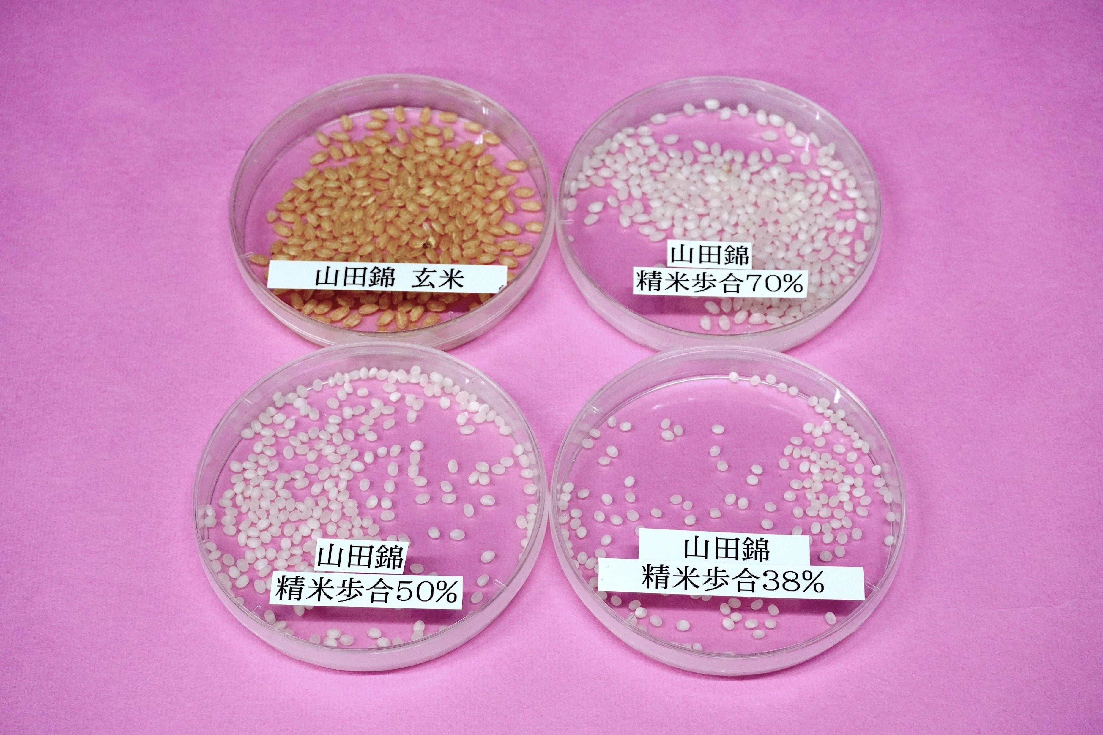 酒米の精米過程