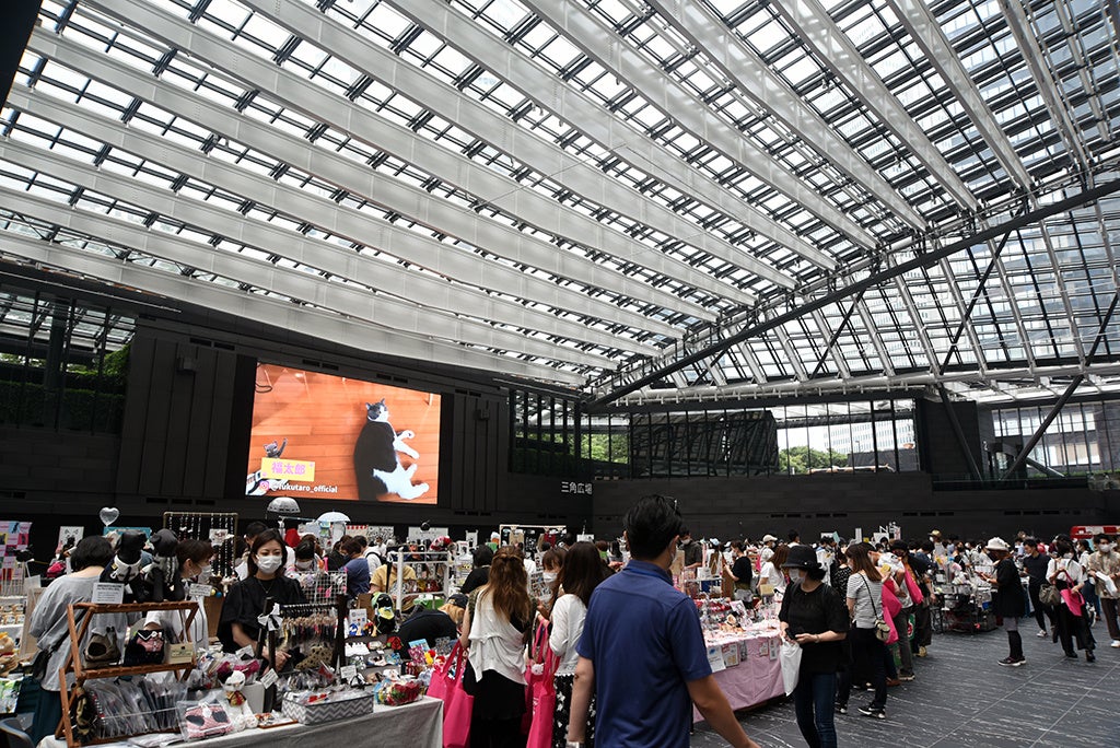 猫に関する商品や情報があふれています