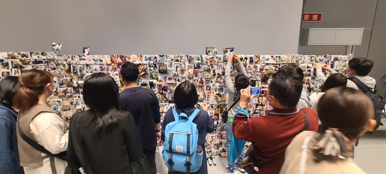 にゃんピクボード